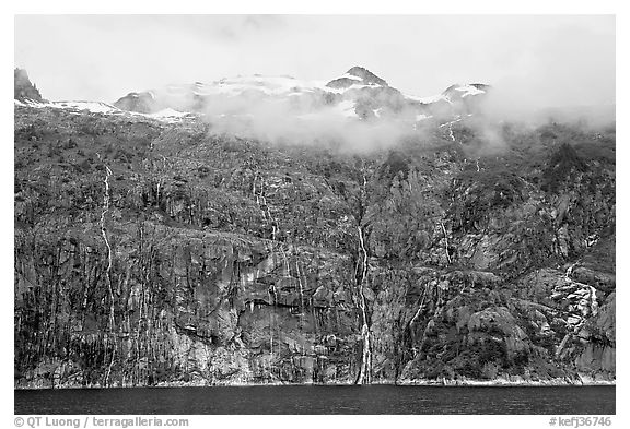 Wall of waterfalls streaming into Cataract Cove, Northwestern Fjord. Kenai Fjords National Park (black and white)