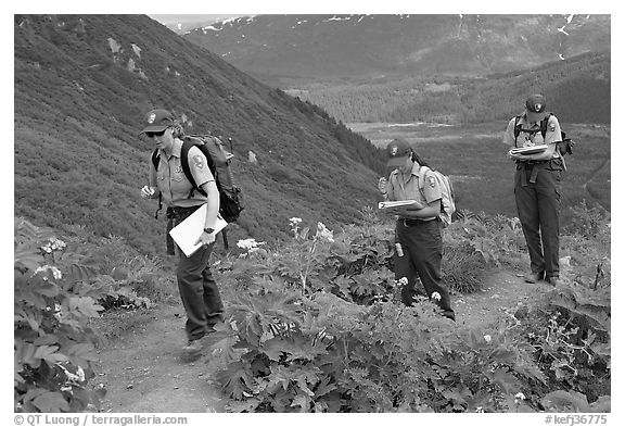 Women Park rangers on trail during a field study. Kenai Fjords National Park (black and white)