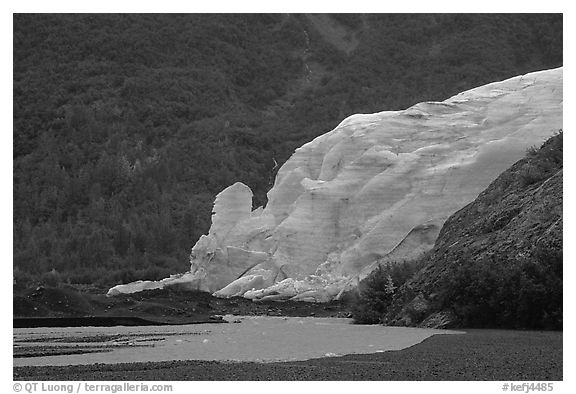 Exit Glacier from glacial plain, 2002. Kenai Fjords National Park (black and white)