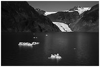 Aerial View of icebergs, Pedersen Lagoon and Glacier. Kenai Fjords National Park ( black and white)