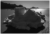 Aerial View of iceberg in Bear Glacier Lagoon. Kenai Fjords National Park ( black and white)