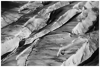 Aerial View of Bear Glacier surface detail. Kenai Fjords National Park ( black and white)