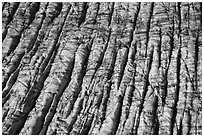 Aerial View of crevassed surface of Bear Glacier. Kenai Fjords National Park ( black and white)