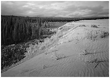 The edge of the Great Sand Dunes with boreal forest below. Kobuk Valley National Park, Alaska, USA. (black and white)