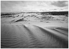 Sand ripples in Arctic dune field. Kobuk Valley National Park, Alaska, USA. (black and white)
