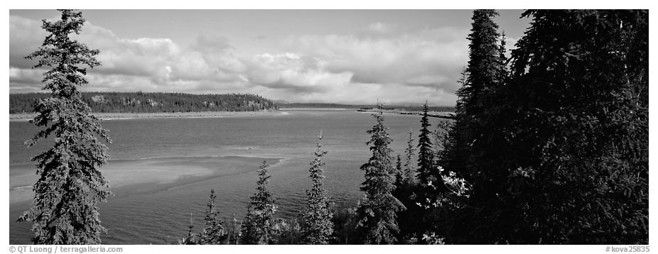 River landscape with forested riverbank. Kobuk Valley National Park (black and white)
