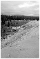 The edge of the Great Sand Dunes with the boreal taiga. Kobuk Valley National Park ( black and white)