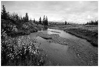 Kavet Creek, with the Great Sand Dunes in the background. Kobuk Valley National Park, Alaska, USA. (black and white)