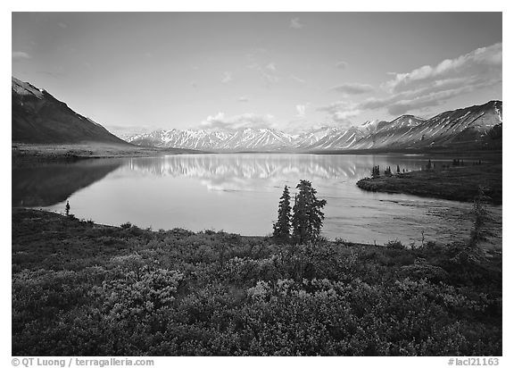 Twin Lakes with mountain reflections and green tundra, evening. Lake Clark National Park (black and white)
