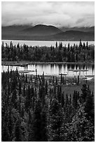 Forest in fall foliage, Beaver Pond and Lake Clark. Lake Clark National Park ( black and white)