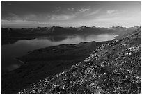 Tundra in autumn, Lake Clark from Tanalian Mountain. Lake Clark National Park ( black and white)
