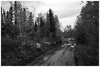 Dirt road near Port Alsworth. Lake Clark National Park ( black and white)