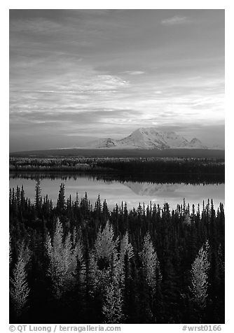 Mt Wrangell reflected in Willow lake, early morning. Wrangell-St Elias National Park (black and white)