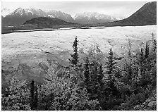 Trees, Root Glacier, and Wrangell Mountains. Wrangell-St Elias National Park, Alaska, USA. (black and white)