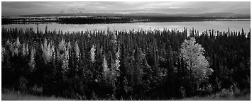 Autumn scenery with forest, lake, and distant mountains. Wrangell-St Elias National Park (Panoramic black and white)