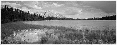 Reeds, pond, and mountains with open horizon. Wrangell-St Elias National Park (Panoramic black and white)