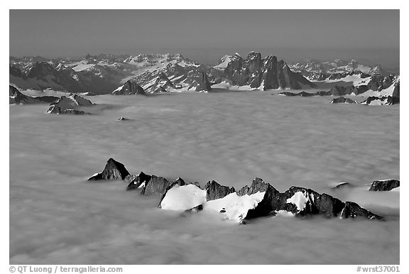 Aerial view of peaks emerging from sea of clouds, St Elias range. Wrangell-St Elias National Park (black and white)