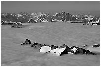 Aerial view of peaks emerging from sea of clouds, St Elias range. Wrangell-St Elias National Park, Alaska, USA. (black and white)