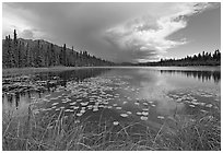 Crystal Lake with starting afternoon shower. Wrangell-St Elias National Park, Alaska, USA. (black and white)