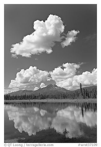 Puffy clouds reflected in lake. Wrangell-St Elias National Park (black and white)
