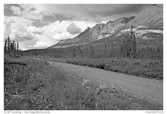McCarthy road and mountains. Wrangell-St Elias National Park (black and white)