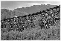 Historic Railroad trestle crossing valley. Wrangell-St Elias National Park, Alaska, USA. (black and white)