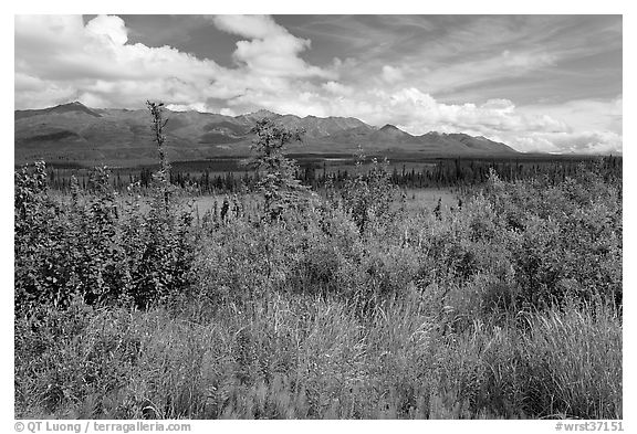 Lowland tundra, and Mentasta Mountains. Wrangell-St Elias National Park (black and white)
