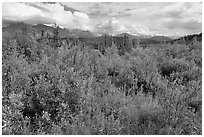 Tundra in summer and Nutzotin Mountains. Wrangell-St Elias National Park ( black and white)