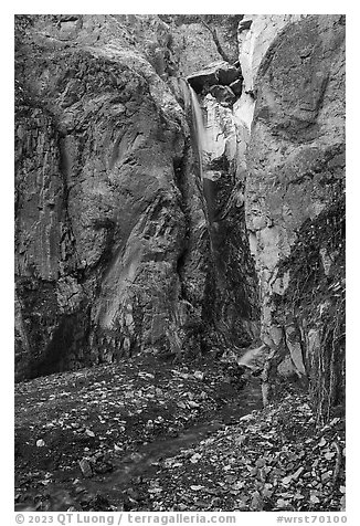 Waterfall in alcove. Wrangell-St Elias National Park (black and white)