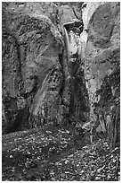 Waterfall in alcove. Wrangell-St Elias National Park ( black and white)