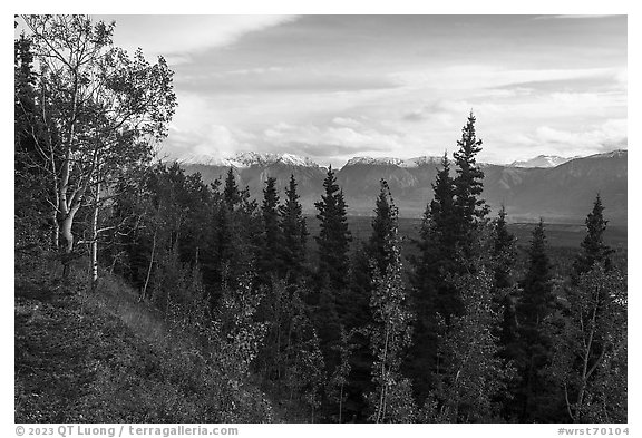 Chitina Valley from Crystaline Hills. Wrangell-St Elias National Park (black and white)