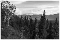 Chitina Valley from Crystaline Hills. Wrangell-St Elias National Park ( black and white)