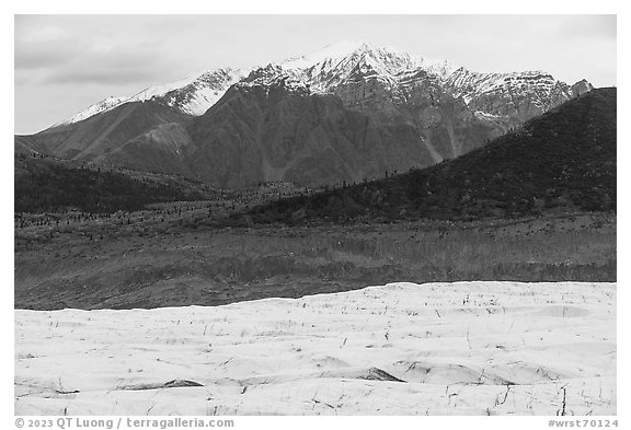 Root Glacier, forest in autum, and snowy mountains. Wrangell-St Elias National Park (black and white)