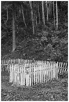 White picket fence and hillside, Kennecott cemetery. Wrangell-St Elias National Park ( black and white)
