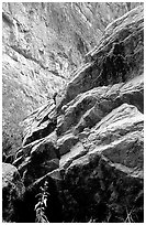 Rocks in Santa Elena Canyon. Big Bend National Park ( black and white)
