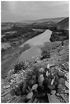 Rio Grande Wild and Scenic River, dusk. Big Bend National Park, Texas, USA. (black and white)