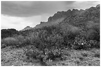 Storm over Chisos Mountains. Big Bend National Park, Texas, USA. (black and white)
