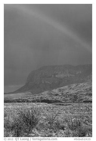 Rainbow over desert and Chisos Mountains. Big Bend National Park (black and white)