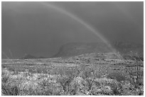 Double rainbow and ocotillos. Big Bend National Park ( black and white)