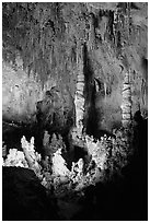 Stalacmites in Big Room. Carlsbad Caverns National Park, New Mexico, USA. (black and white)