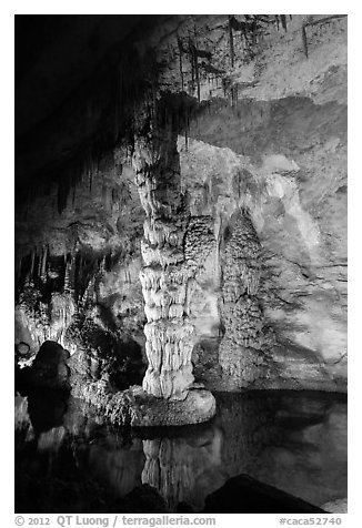 Column in Devils Spring. Carlsbad Caverns National Park (black and white)