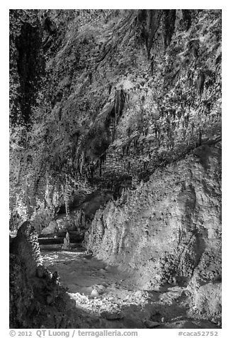 Fine stalactite draperies. Carlsbad Caverns National Park (black and white)