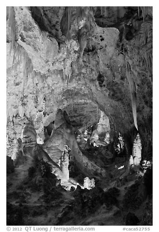 Massive speleotherms. Carlsbad Caverns National Park (black and white)