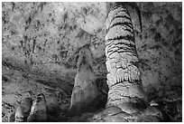 Giant Dome column in Hall of Giants. Carlsbad Caverns National Park, New Mexico, USA. (black and white)