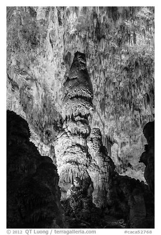 Massive stalagmites and delicate stalagtites, Big Room. Carlsbad Caverns National Park, New Mexico, USA.