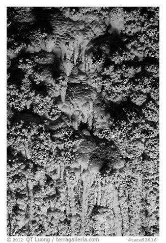 Cave popcorn detail. Carlsbad Caverns National Park (black and white)