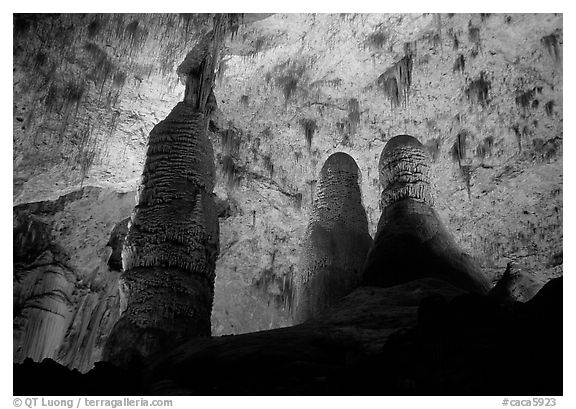 Tall columns in Hall of Giants. Carlsbad Caverns National Park (black and white)