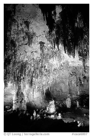 Fine Stalactites growing from ceiling of Papoose Room. Carlsbad Caverns National Park (black and white)