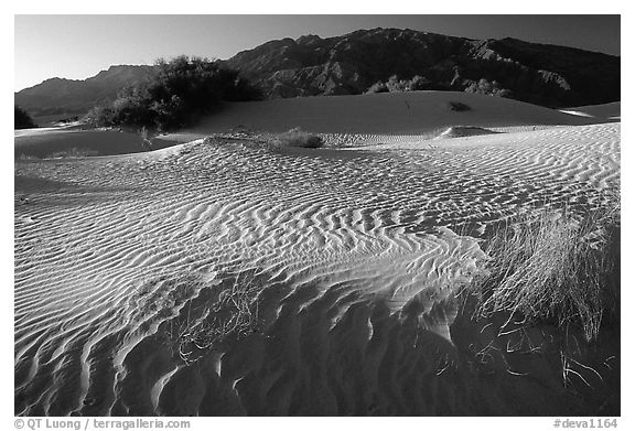 Mesquite Sand Dunes and Tucki mountain, early morning. Death Valley National Park, California, USA.