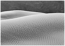 Ripples on Mesquite Sand Dunes, morning. Death Valley National Park, California, USA. (black and white)